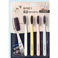 이가왕 프리미엄 왕 칫솔(비장탄숯 항균칫솔, 4P)